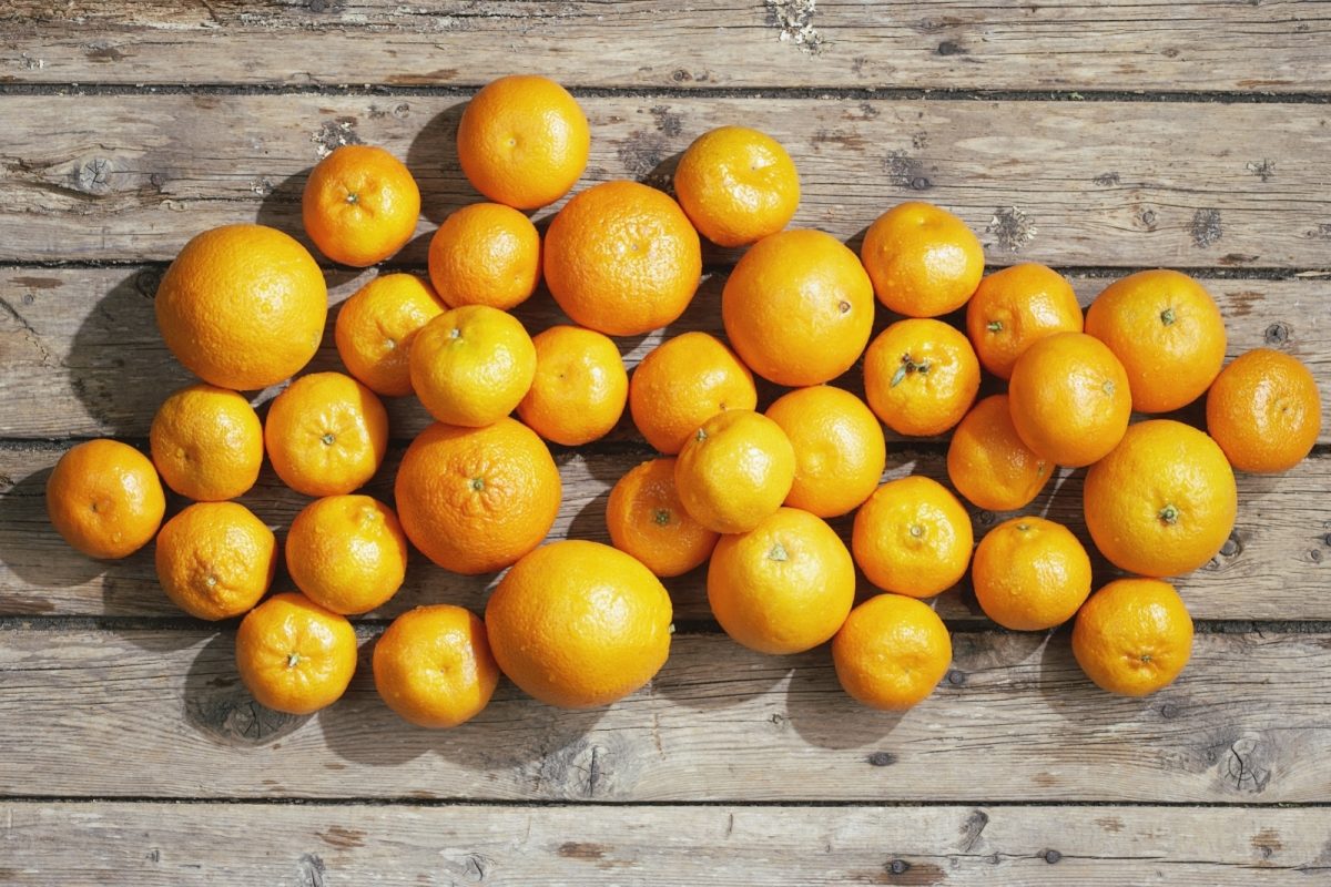 À la découverte des clémentines Mouvement J’aime les fruits et légumes