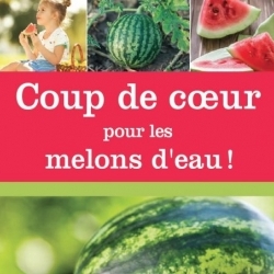 Coup de cœur pour les melons d’eau