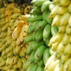 Banane - Mouvement J'aime les fruits et légumes