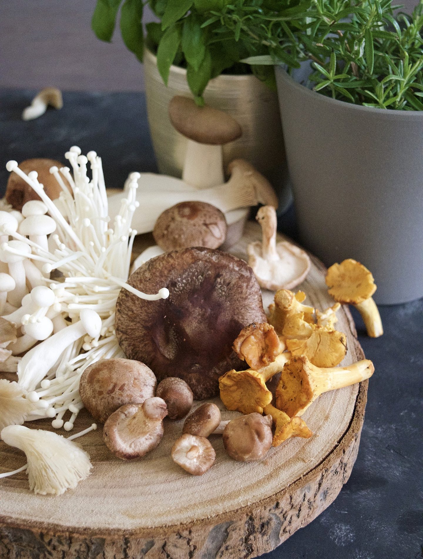 Champignon Mouvement J’aime les fruits et légumes