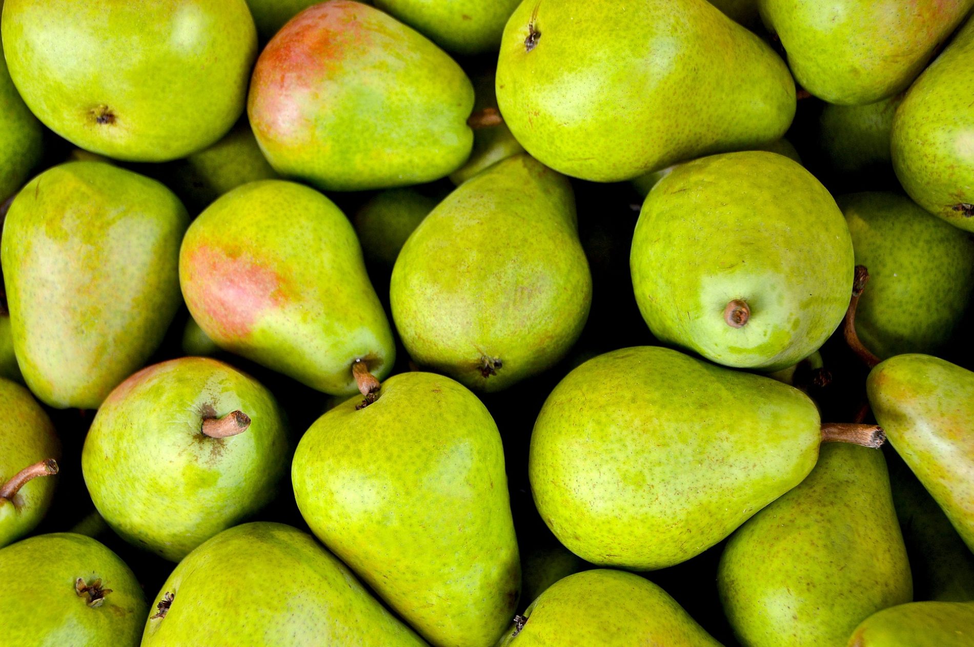 Poire - Mouvement J'aime les fruits et légumes