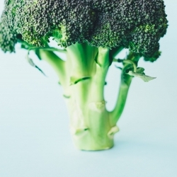 Crudités de pieds de brocoli