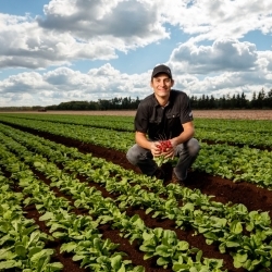 Fiche Marché de détail - Radis du Québec