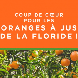 Guide coup de cœur pour les oranges à jus de la Floride