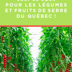Guide coup de coeur pour les légumes et fruits de serre du Québec