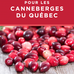 Coup de cœur pour les canneberges du Québec