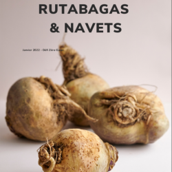 Cahier numérique anti-gaspillage : Rutabagas et navets