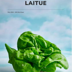 Cahier numérique anti-gaspillage: Laitue