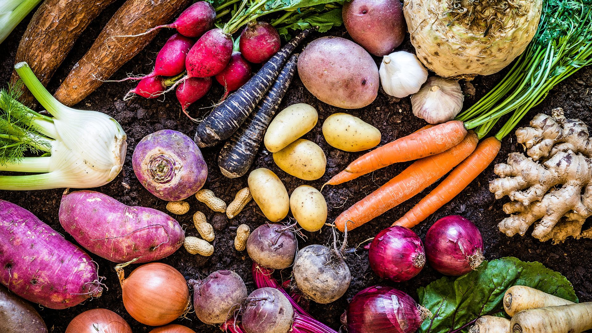 5 bonnes raisons d’intégrer plus de légumes racines à votre menu Mouvement J’aime les fruits